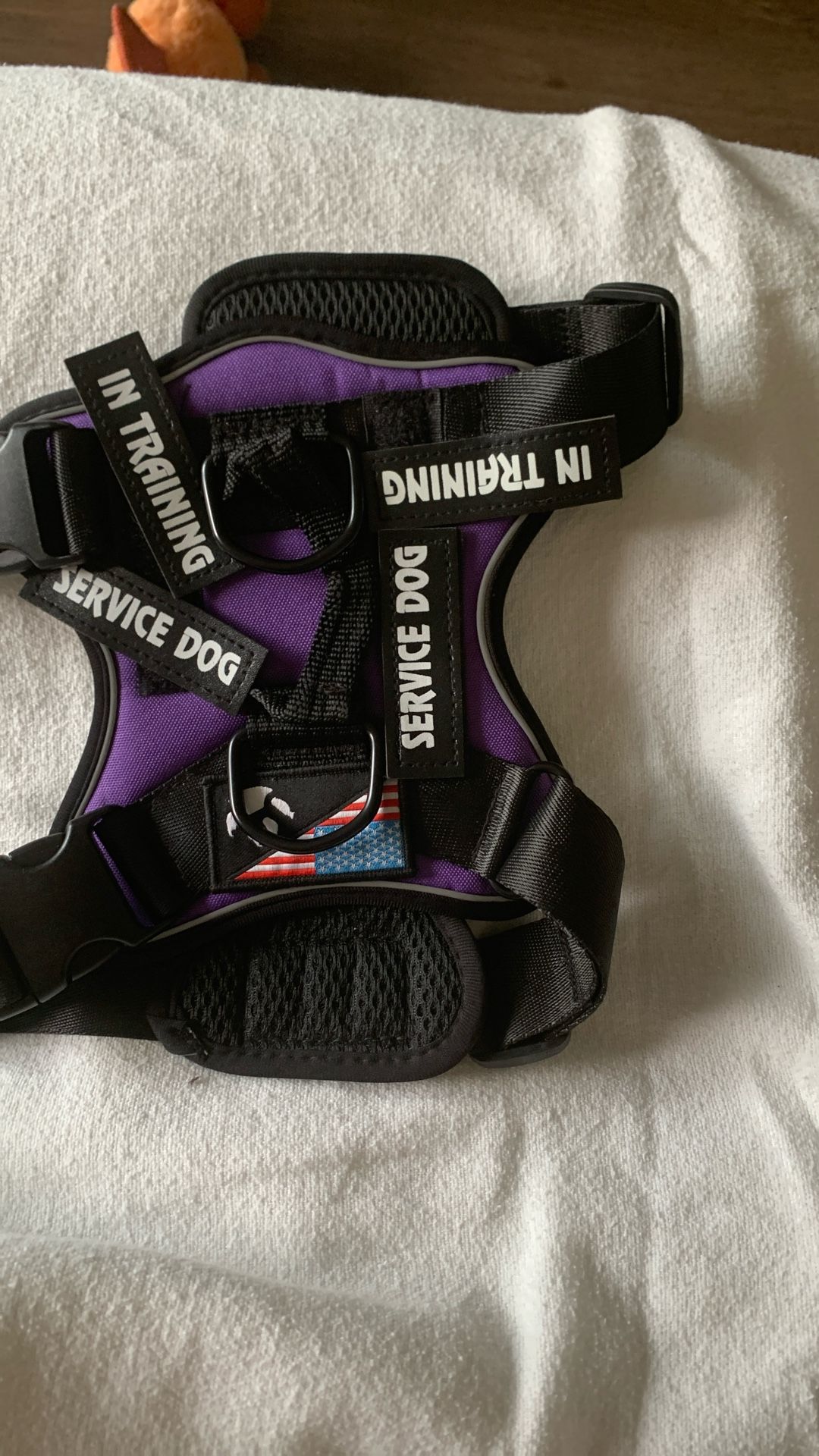 Dog Harness (with Changeable Service Or In Training)