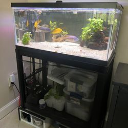 Complete 40 G aquarium setup ($550+ value)