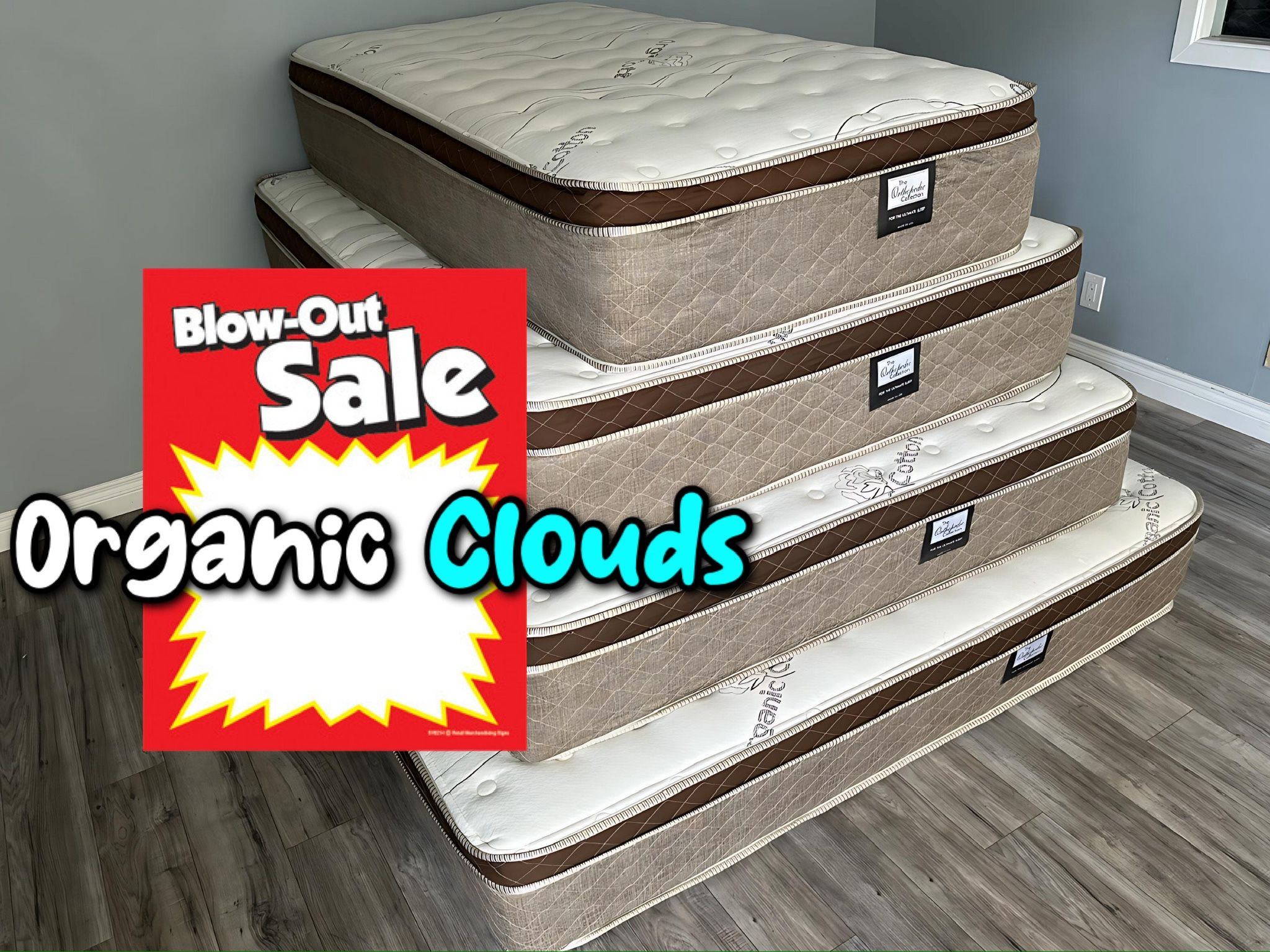 12in King Size Organic Cloud Comfort Europillow Top Mattress