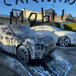 Car Detailed