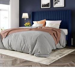 Blue velvet Queen bed