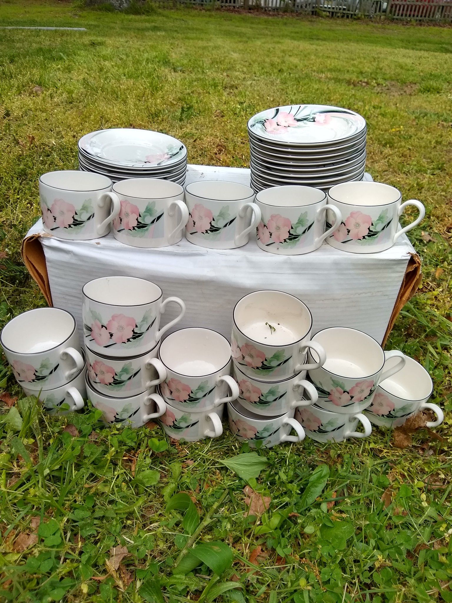 Dishes