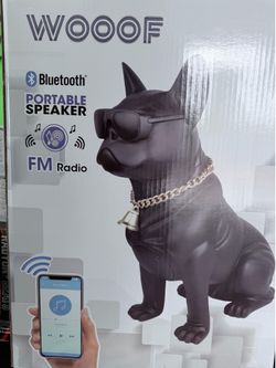 Speaker