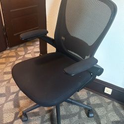 Adjustable desk chair