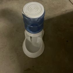 Dog Water Dispenser 
