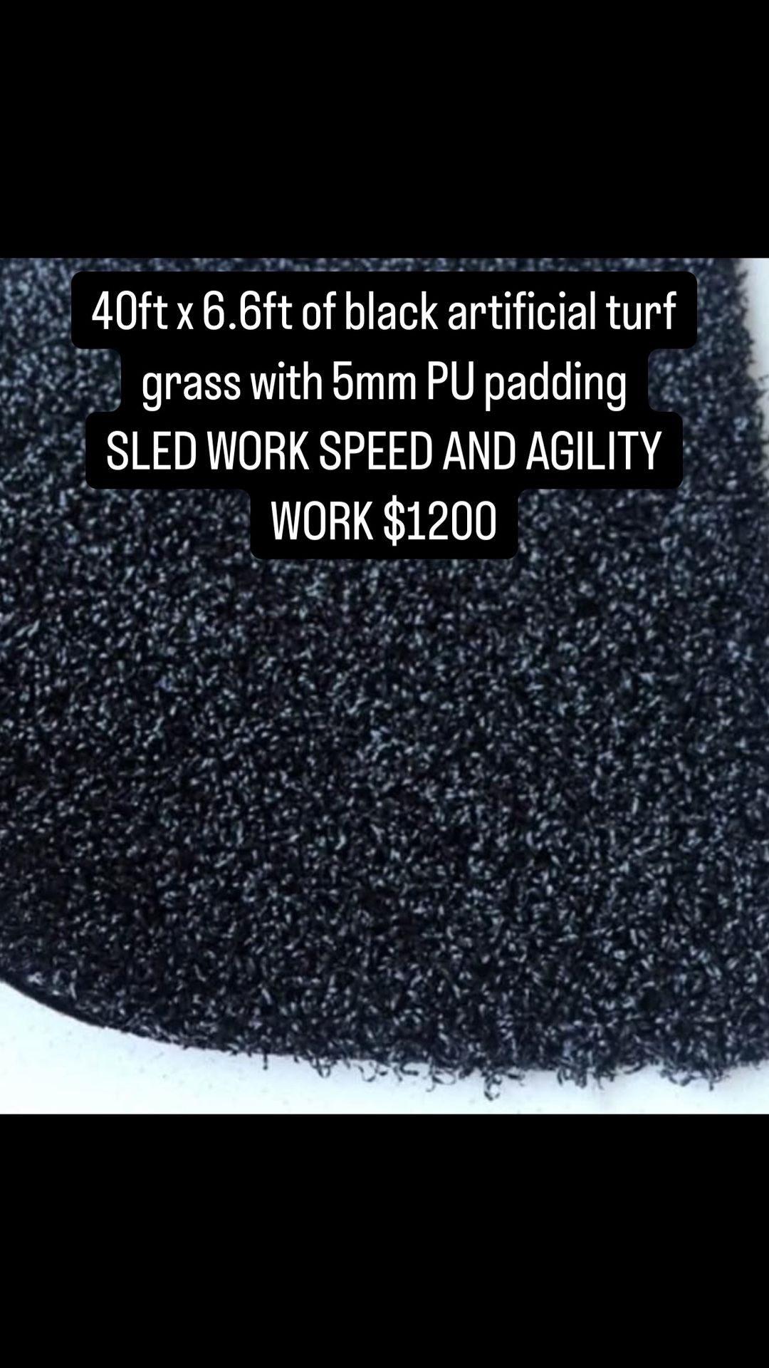 Artificial Turf Grass