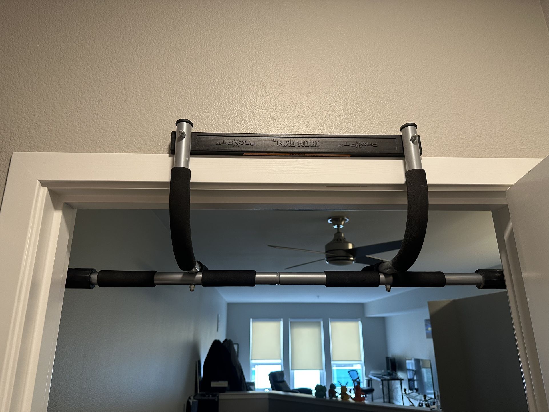 Pull Up Bar