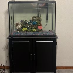 Fish Tank set up