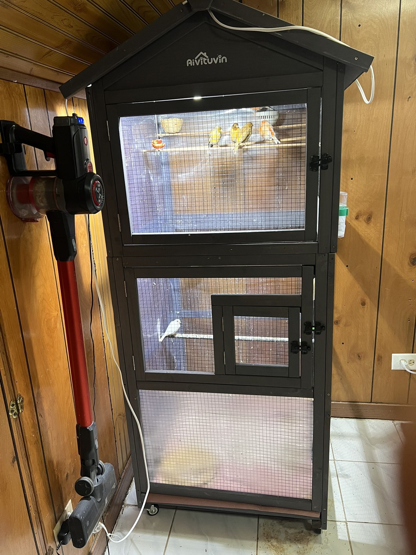 bird cage