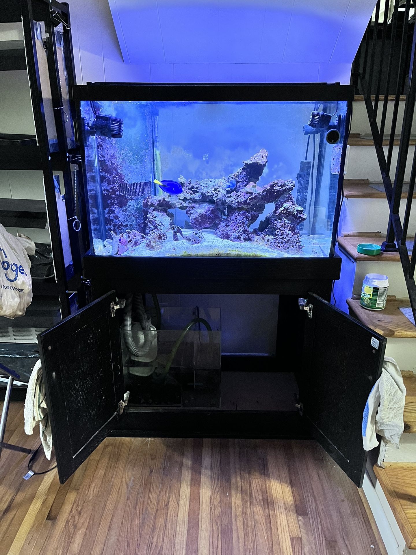 65 Gallon Salt Water Aquarium