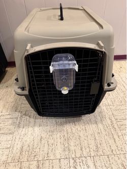 Pet carrier