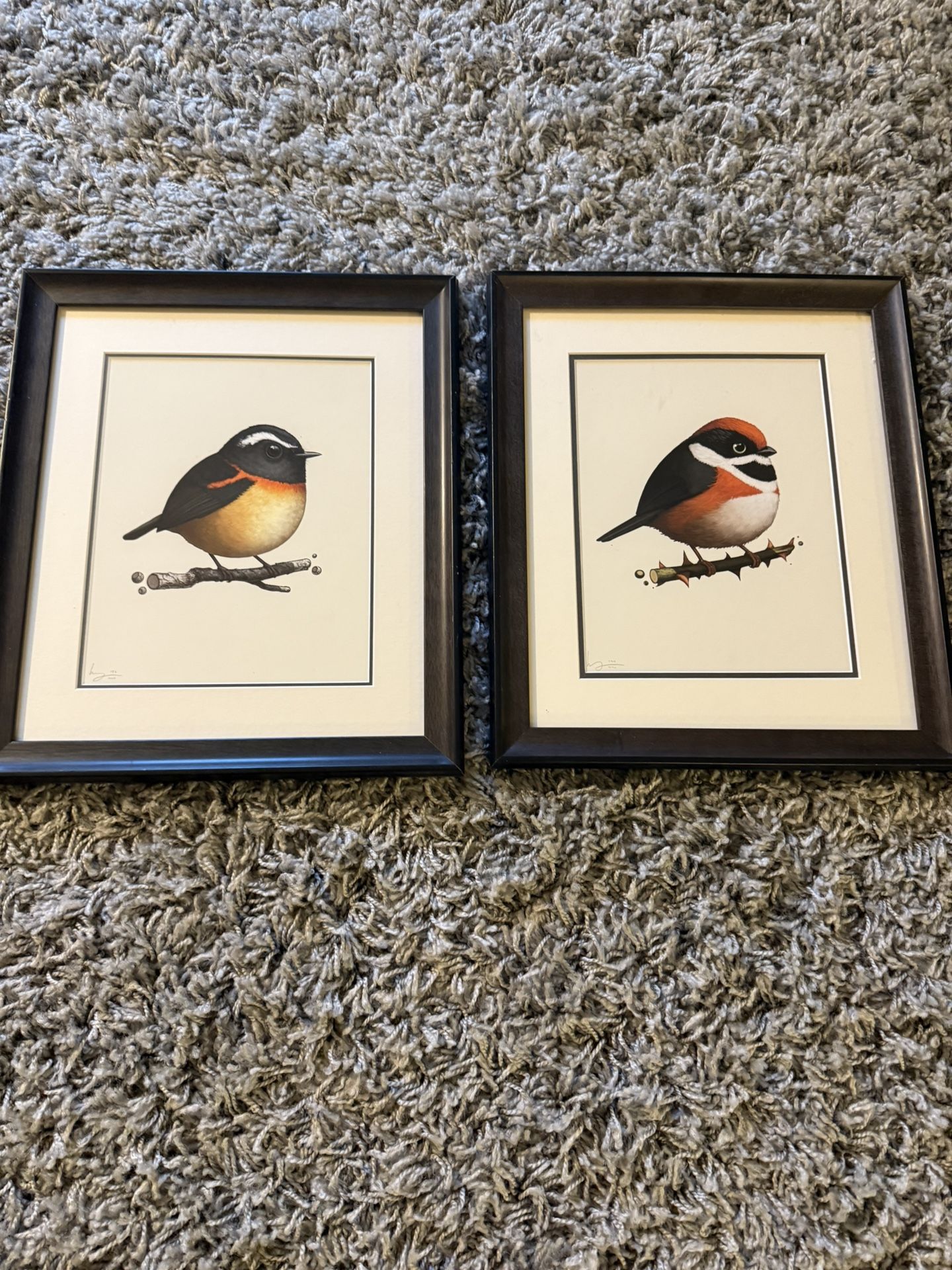 Set of 2 Original Framed Bird Drawings – Signed by Artist