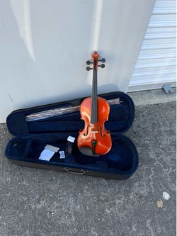 Viola    16/16