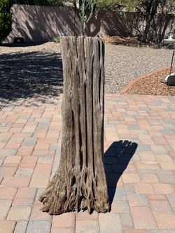 Cholla Cactus Stump 3.5 ft. Tall