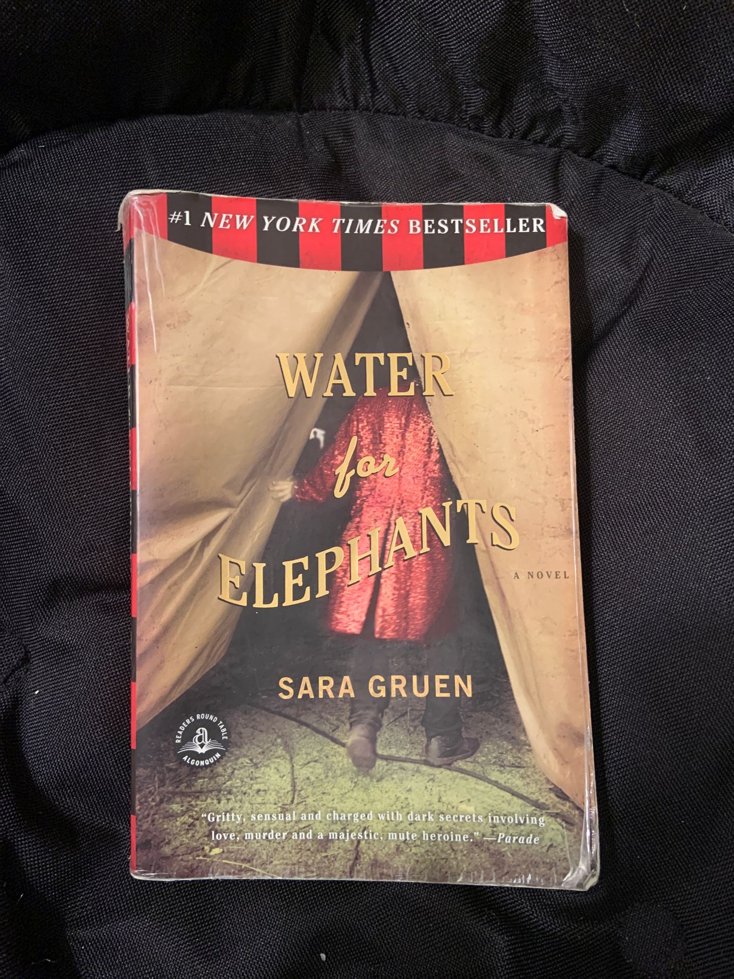 Water for the Elephants paperback