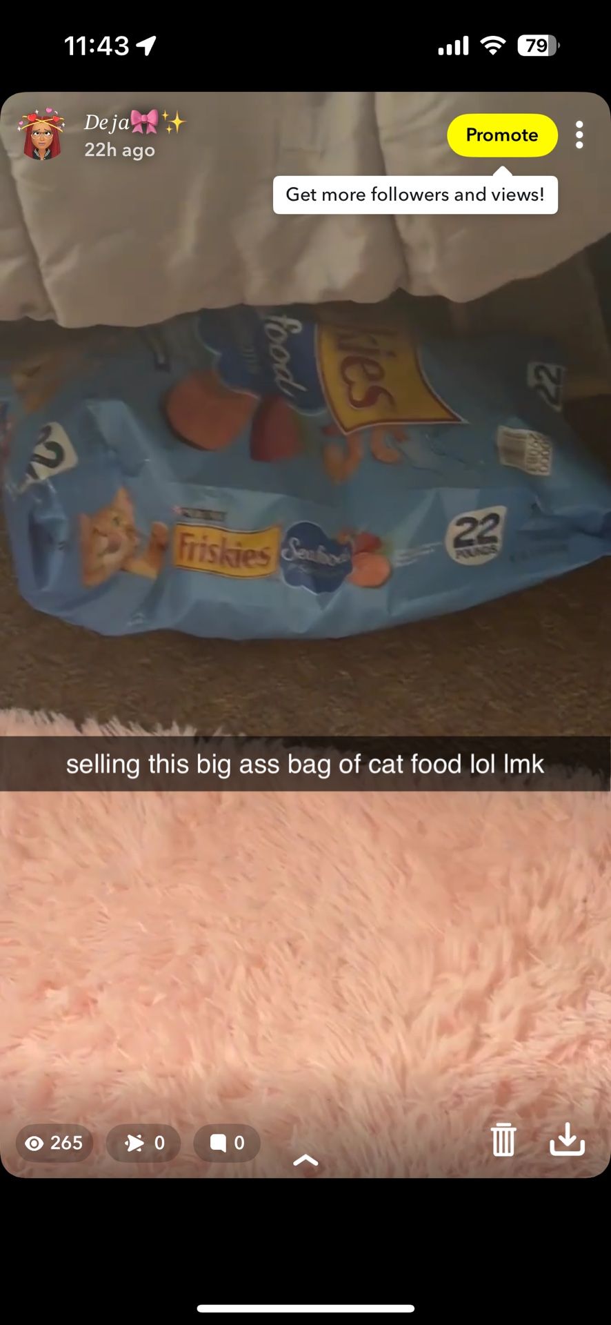 Friskies Cat Food