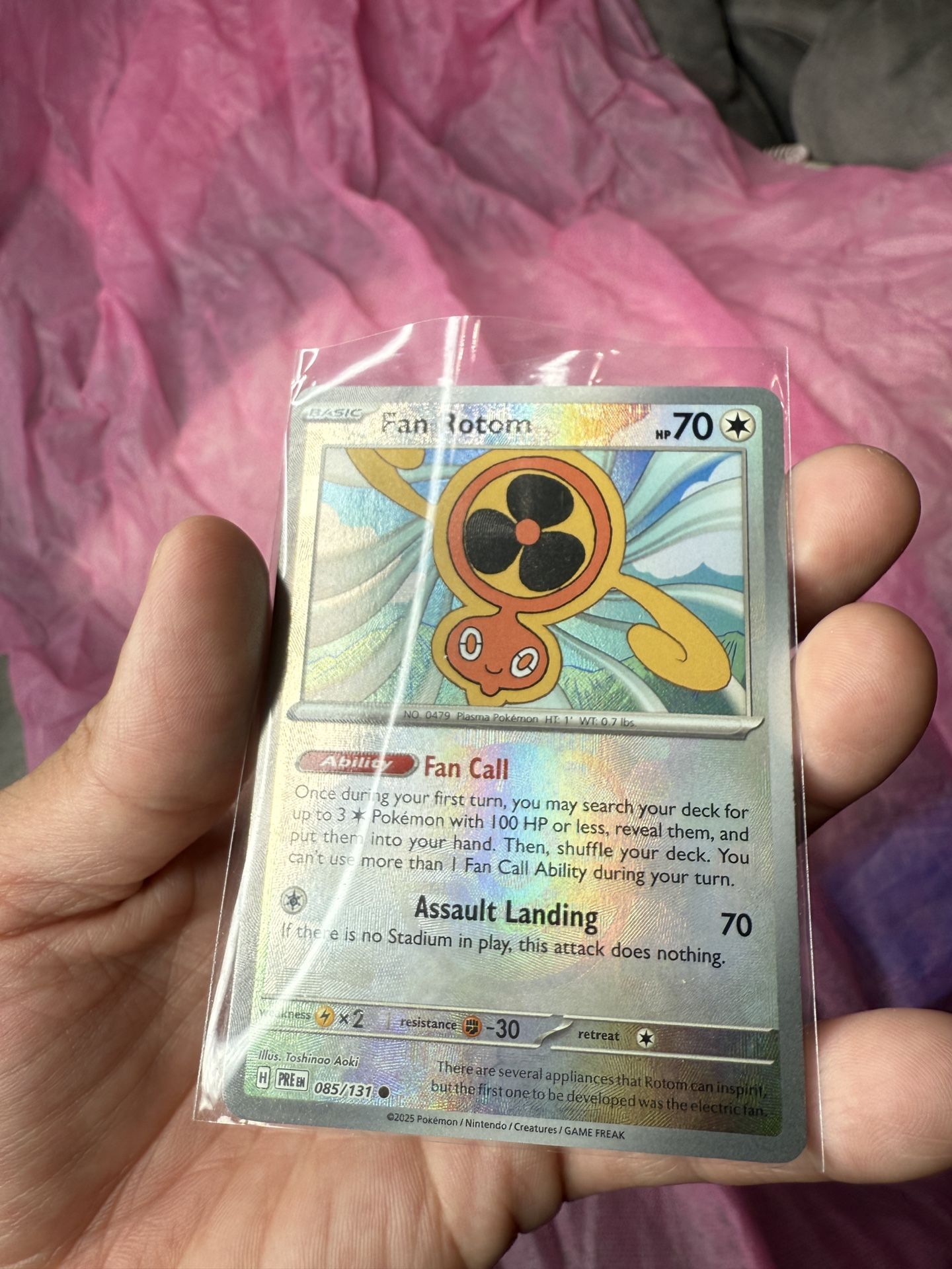 Fan Rotom Masterball