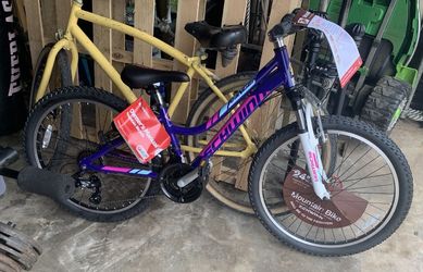 Schwin mountain bikes NEW