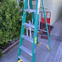Werner 6’ Ladder