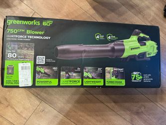 Greenworks Leaf Blower
