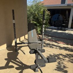 Exercise Bench