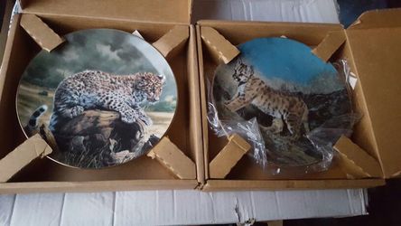 Cat plates