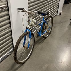 Adult Bike