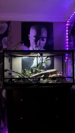 Enclosure Tank