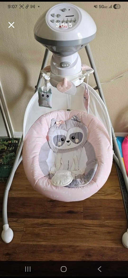 Baby Raccoon Swing