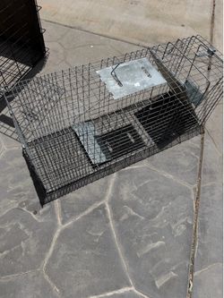 Animal trap cage