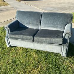 Free Loveseat/ Twin Sofa Sleeper