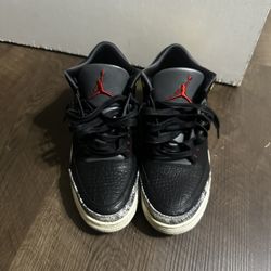 Jordan 3 “Animal Instinct”