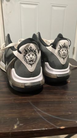 Lebron James basketball shoes size 9