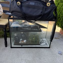 Reptile Tank & Fish Tank 