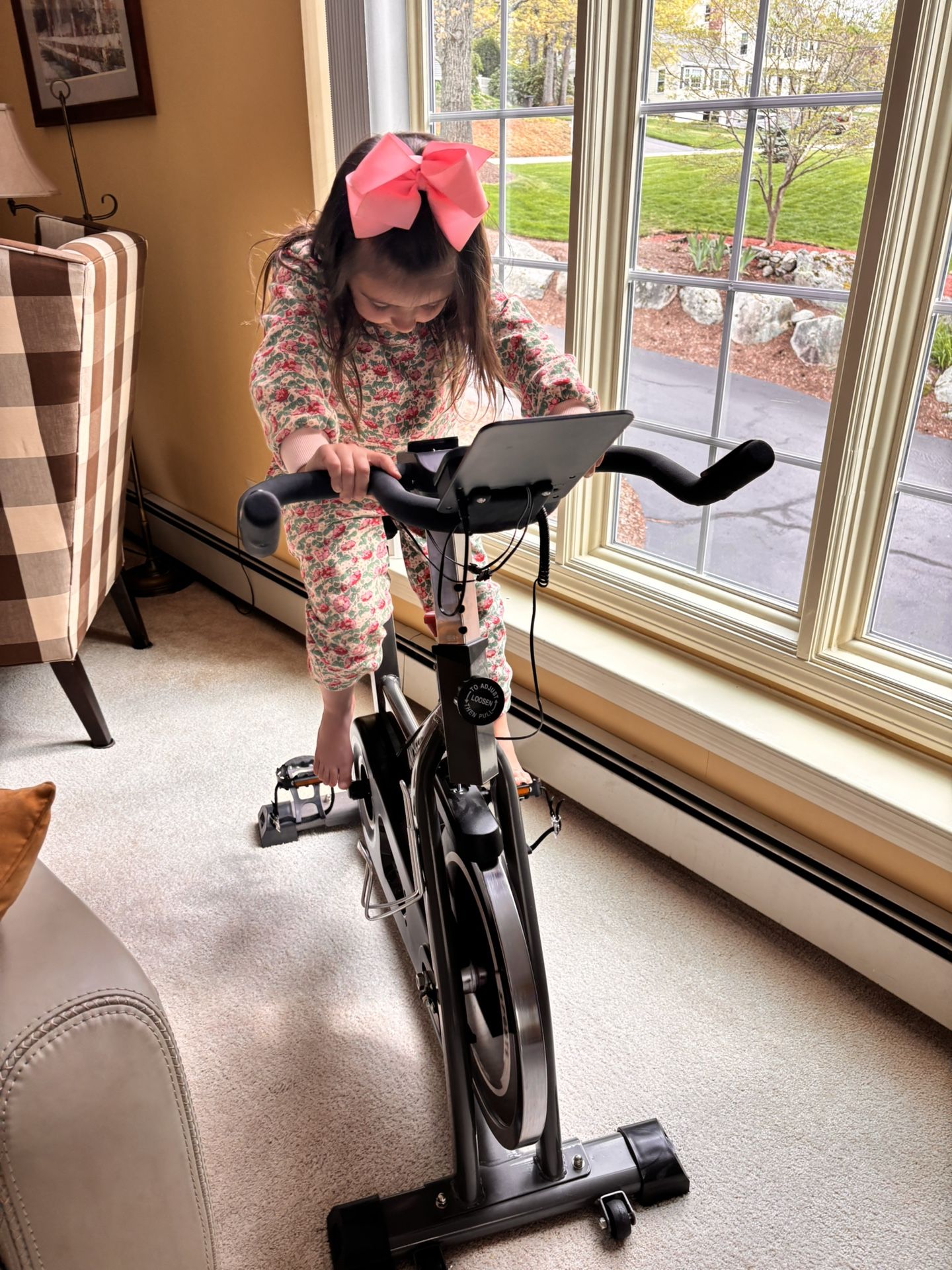 Ancheer Exercise Bike