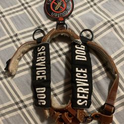 Service Dog Harness