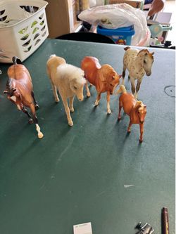 5  lovely horses
