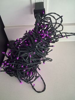 Pink led lights