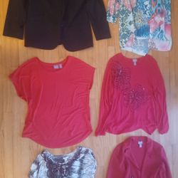 Lot of 6 designer Chico's women's apparel