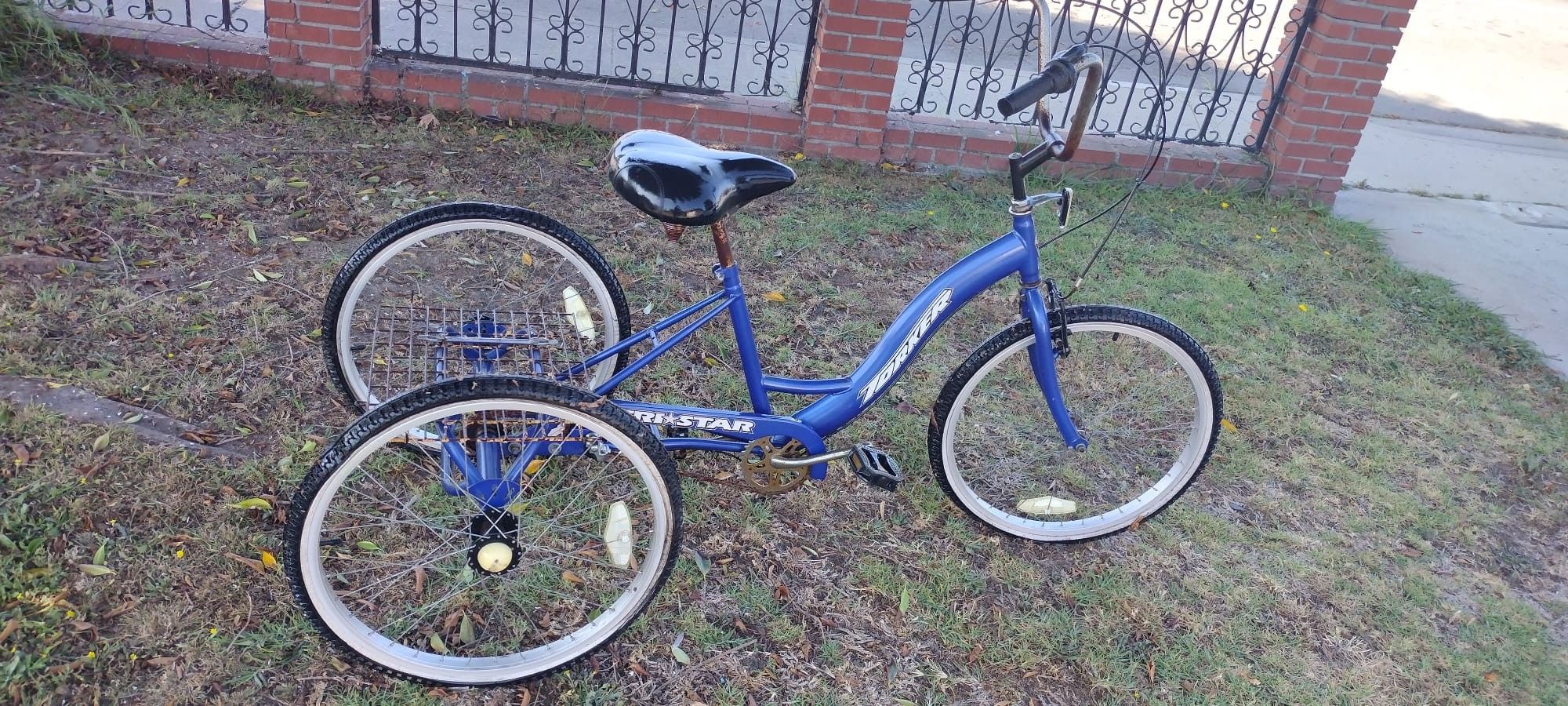 Adult Tricycle OBO
