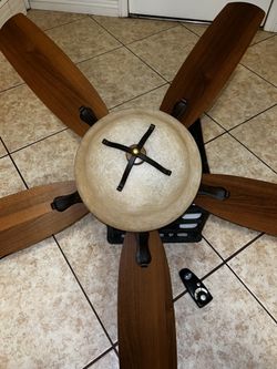 Fan