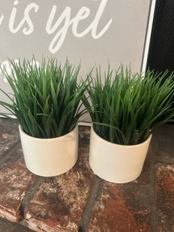 Artificial plants