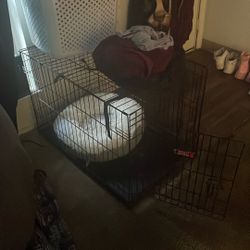 Kong Dog Kennel 