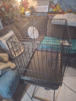 Small black dog cage
