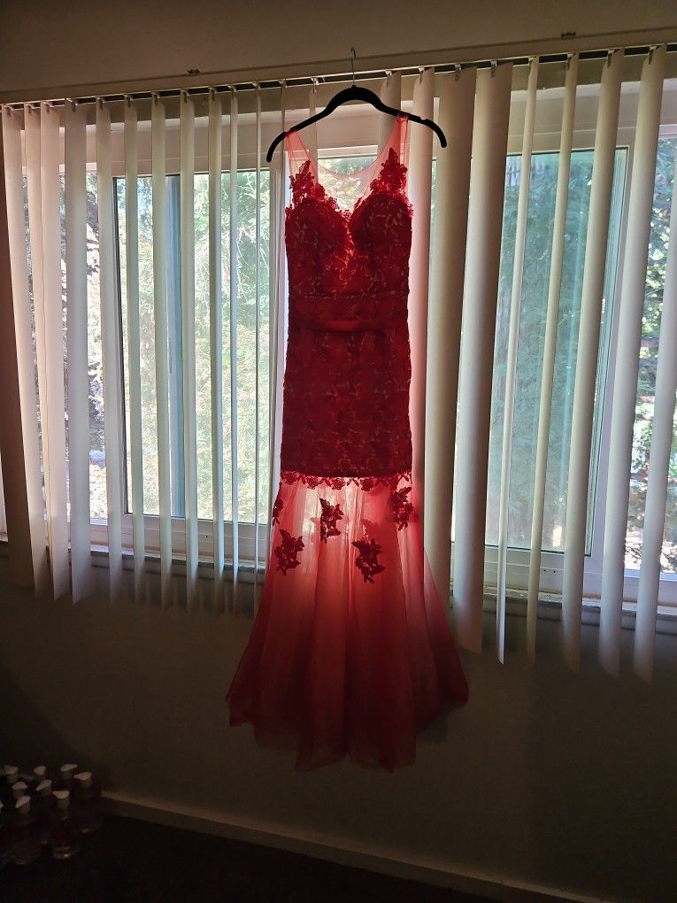 Elegant Dress