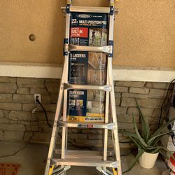 Werner 22ft Ladder