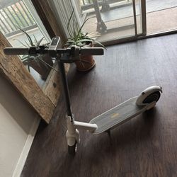 Segway Ninebot Scooter