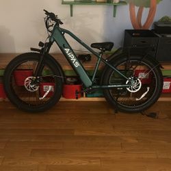 Aipas Electric Bicycle 