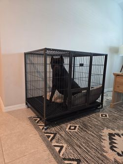 50 inch Heavy Duty Dog Kennel