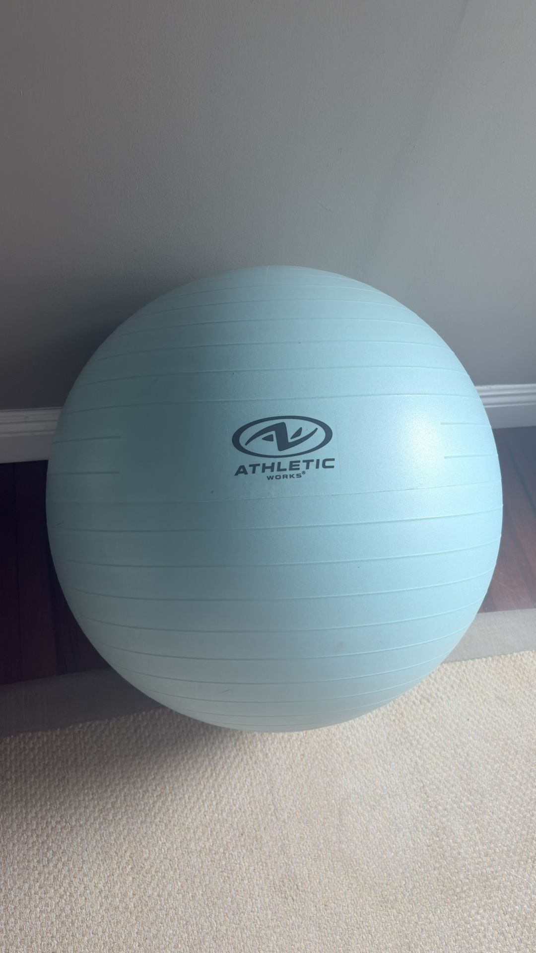 Exercise Ball
